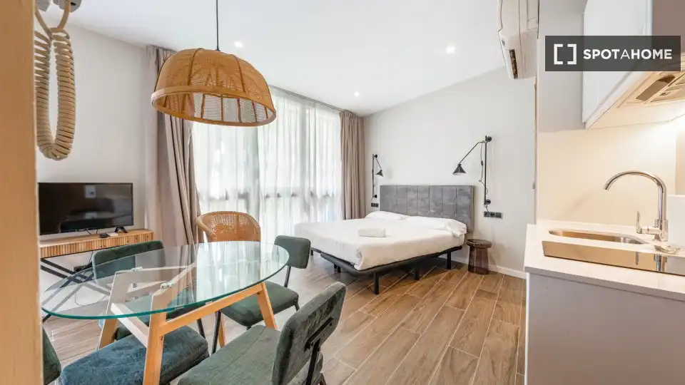 Appartamento con terrazza in affitto a Ciutat Vella