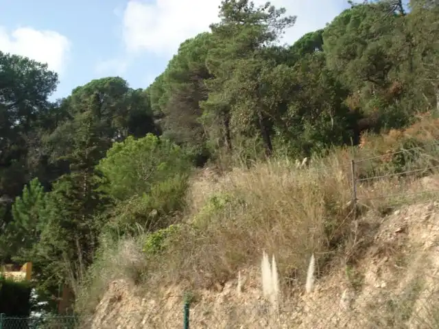 Lands and plots for sale in Serra Brava, imagen 2