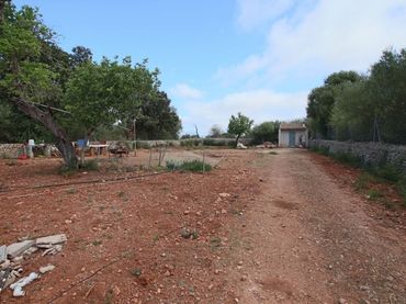 Terreno rústico en venta en Llubí