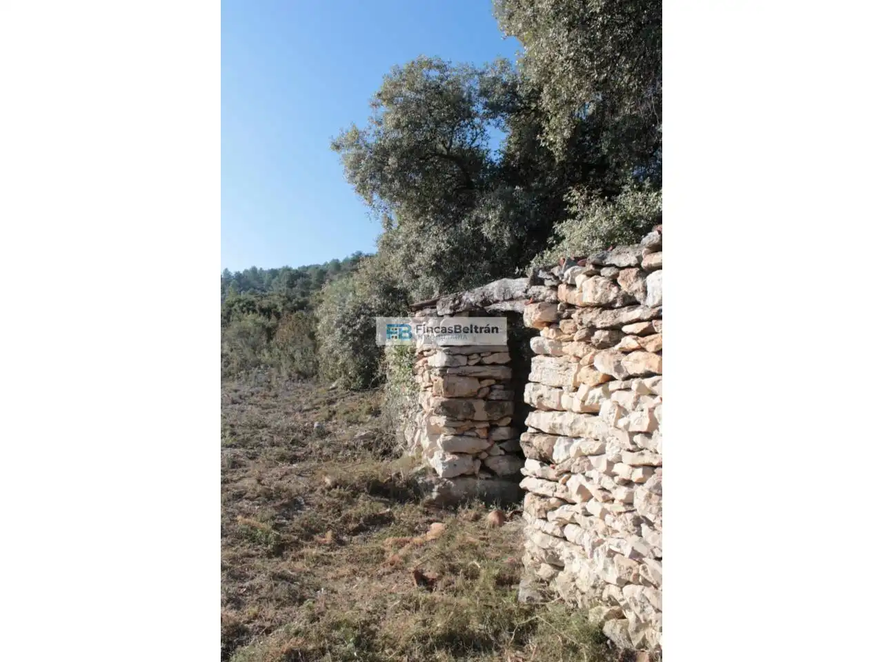 Rural land for sale in Poligono 36, parcela 240, imagen 7