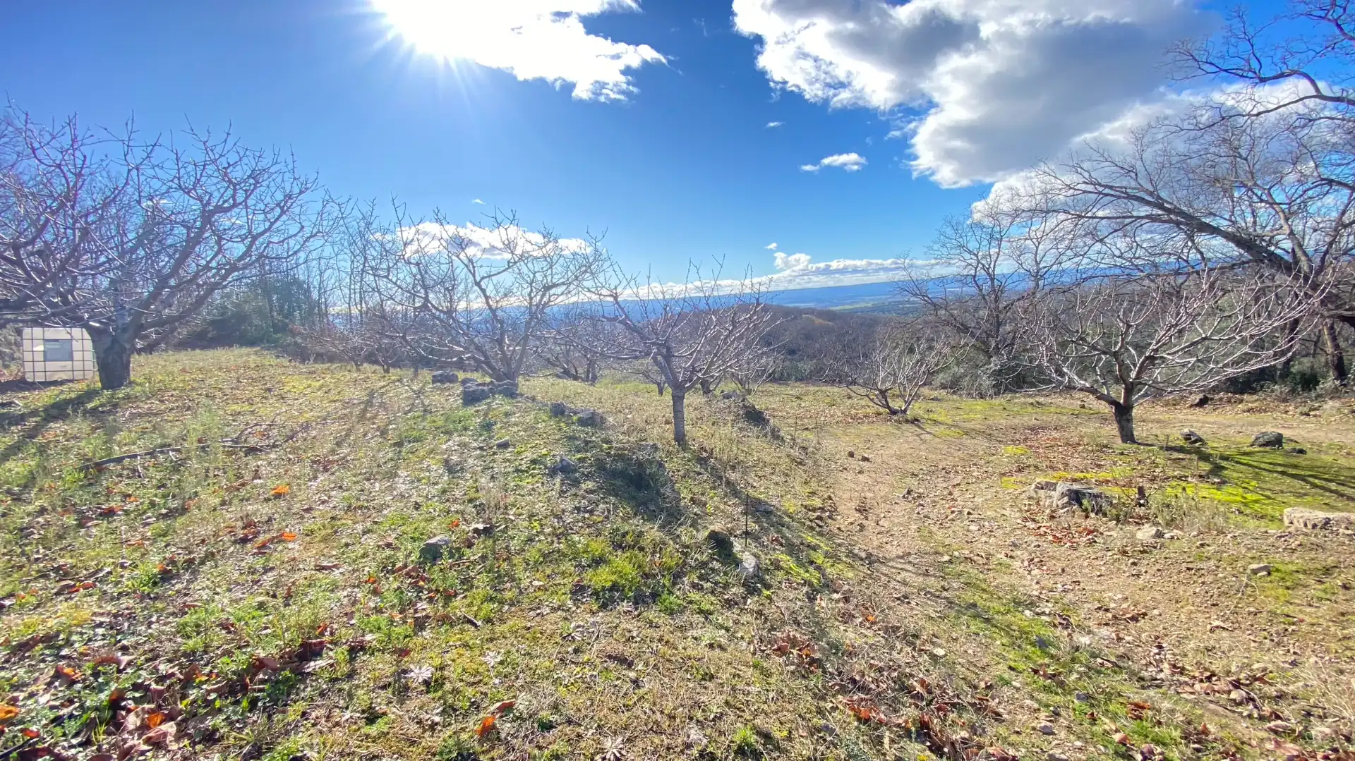 Terreni e lotti in vendita a Pasarón de la Vera, imagen 13