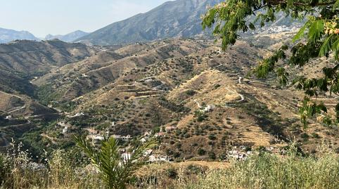 Foto 4 de Casa o xalet en venda a  Pasaje 50 Poligono 7 Cerro Rubite 0, Canillas de Aceituno, Málaga