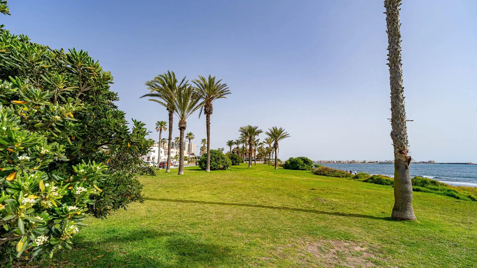 Erdgeschoss zum Verkauf in Torrevieja mit Terrasse und Möbliert