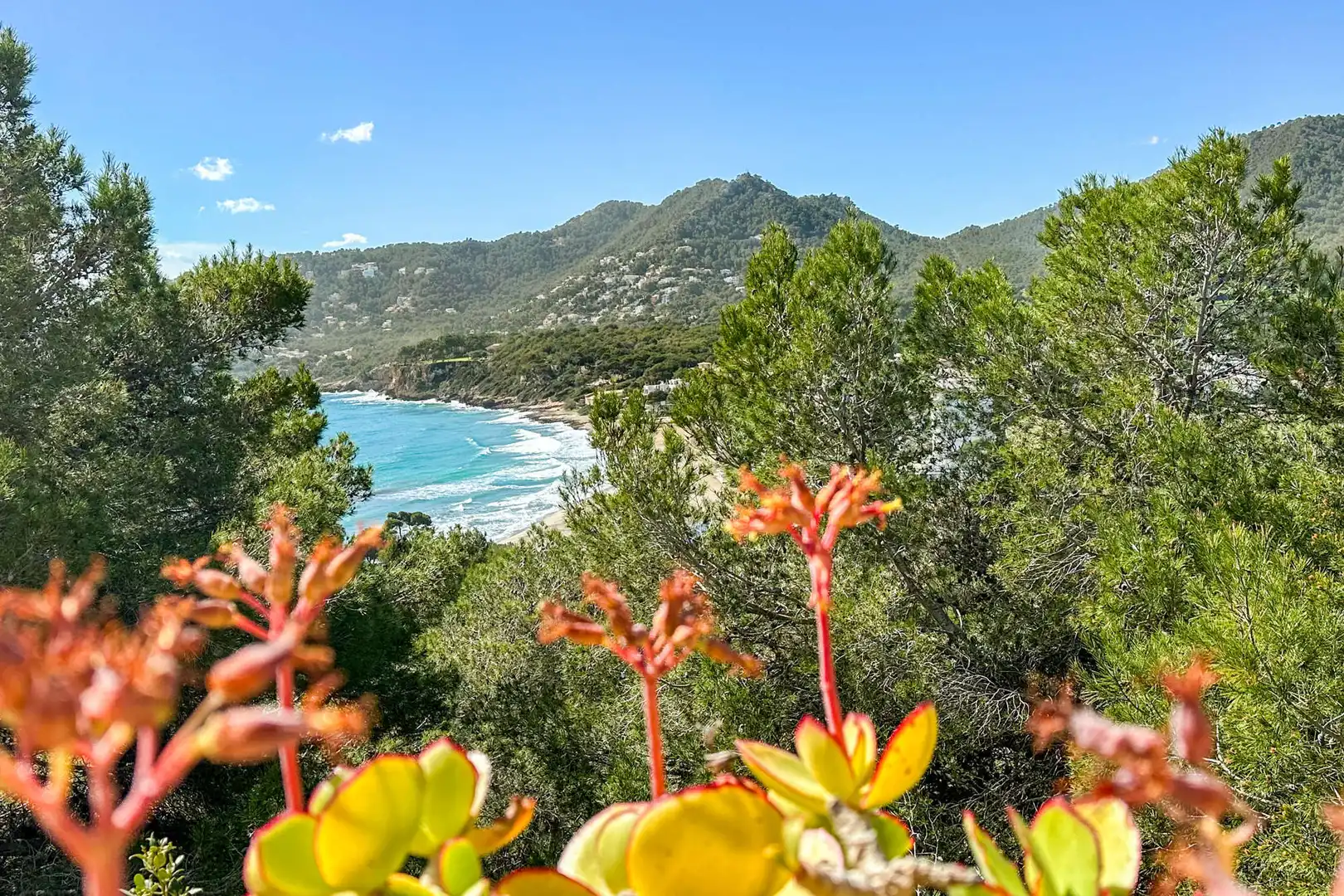 House with terrace for sale in Font de Sa Cala, imagen 4