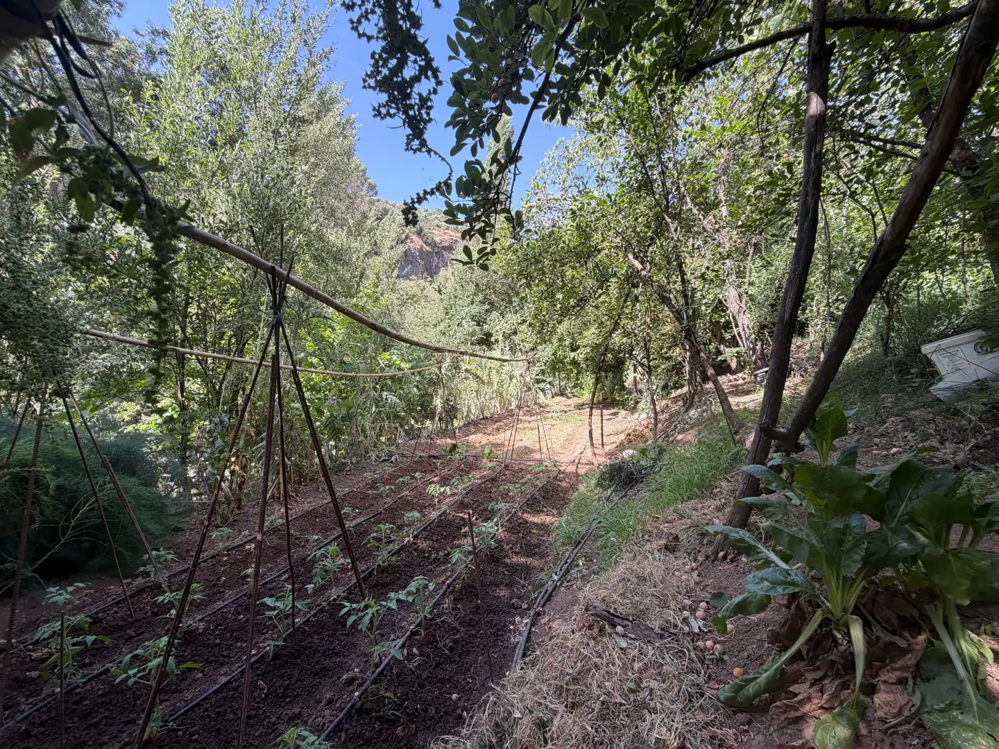 Houses for sale in Villacarrillo  with Private garden and Terrace