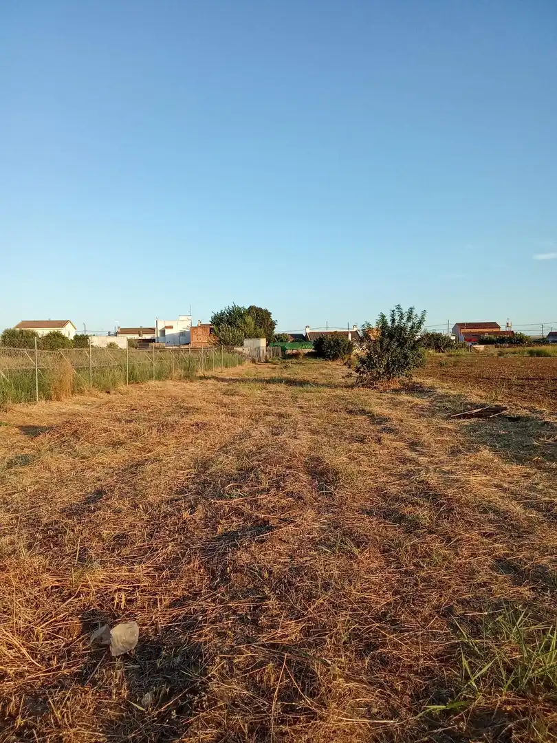 Land for sale in Almodóvar del Río