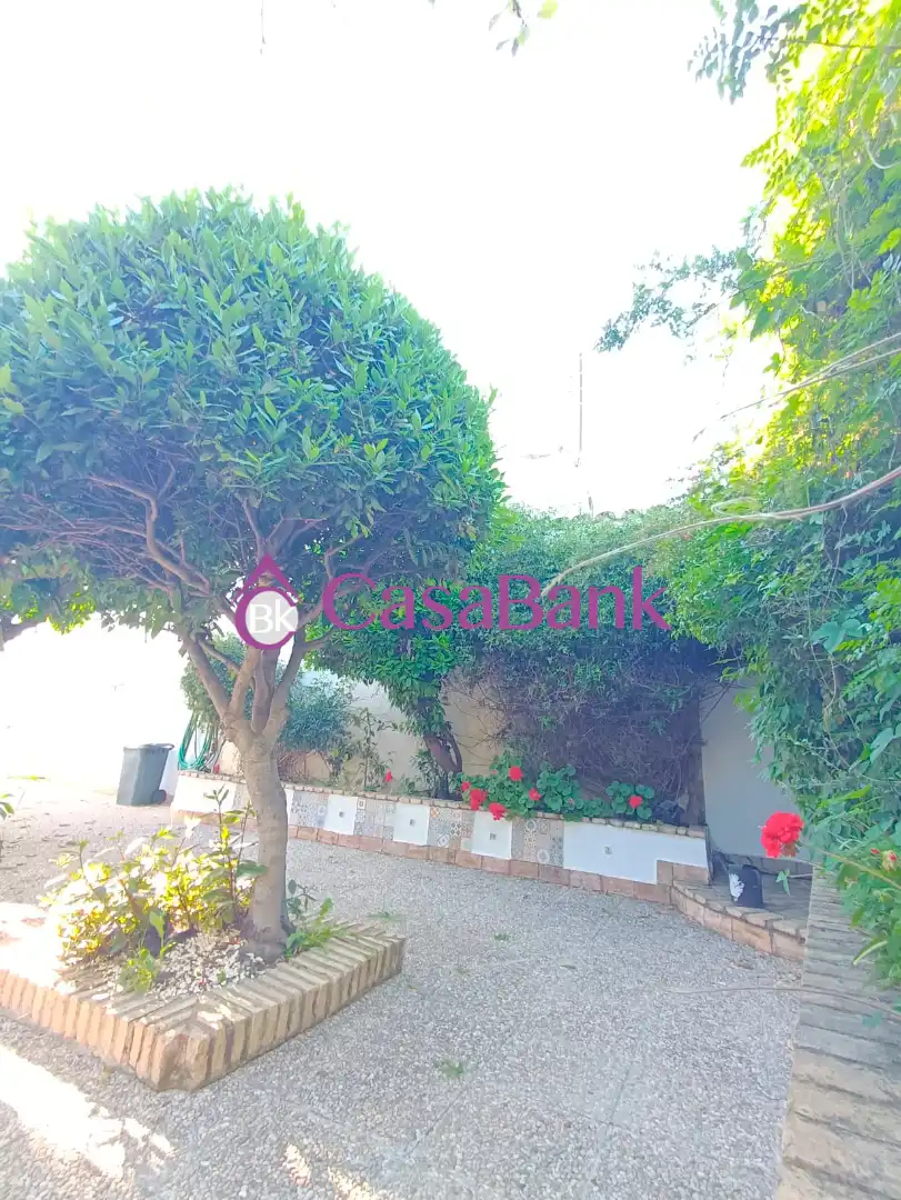 Casa o xalet en venda a Cerro Muriano