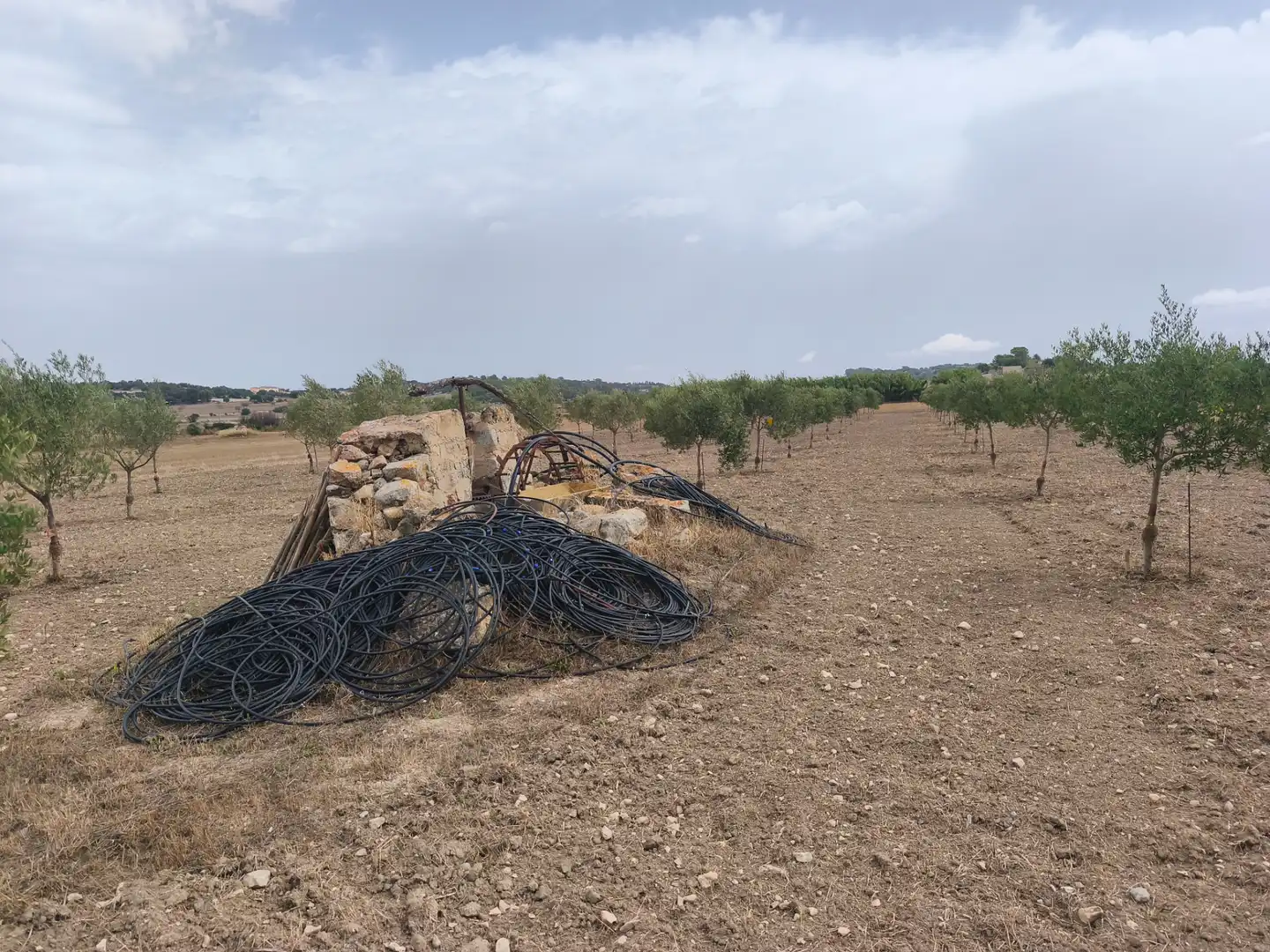 Terreno residenziale in vendita a Montuïri, imagen 4