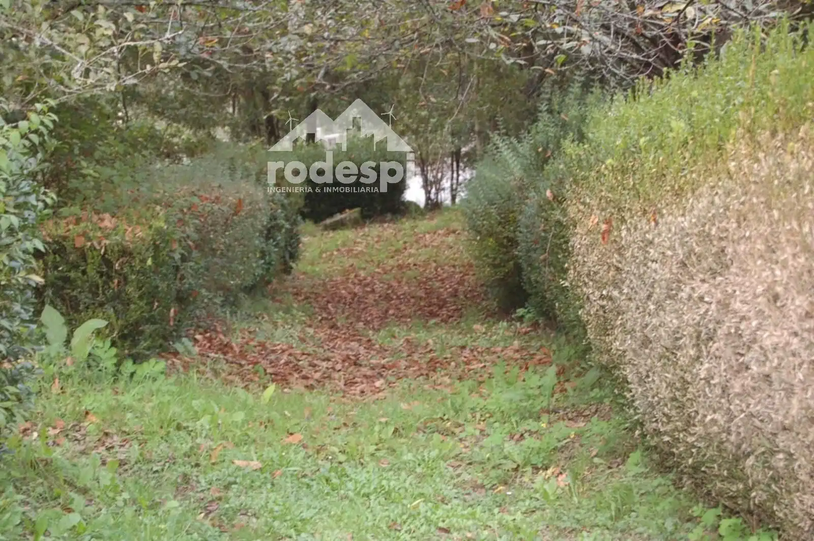 Casa in vendita a Ponteareas, imagen 3