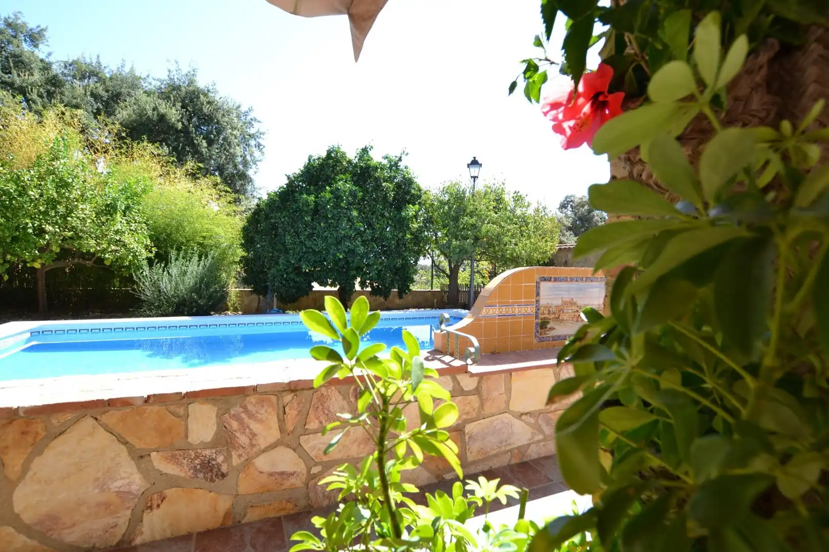 Villa con piscina in vendita a Calle Calle Santa Ana de la Albaida, imagen 49
