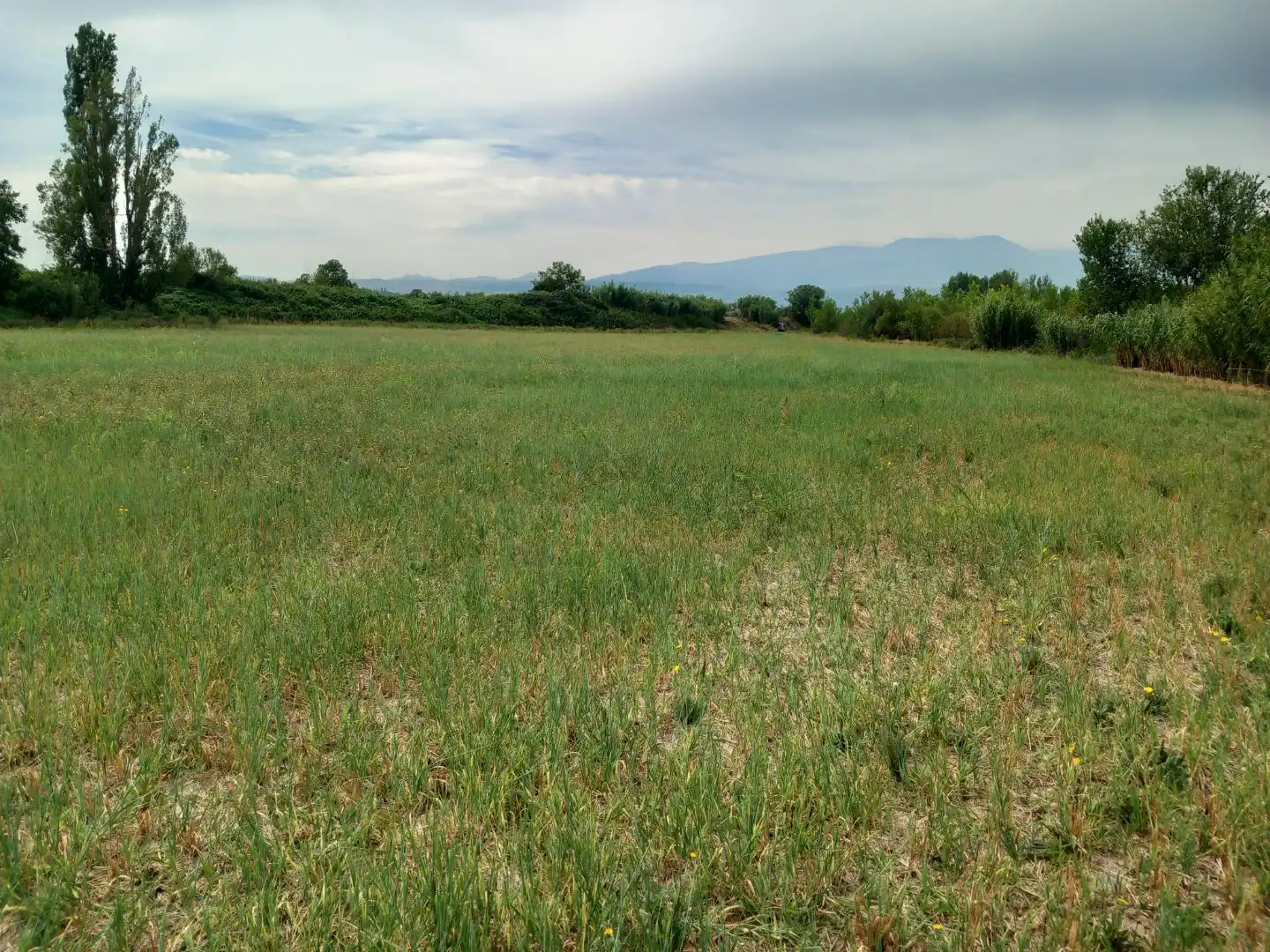 Rural land for sale in Avenida de la Paz 73