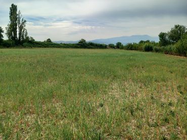 Terreno rustico in vendita a Avenida de la Paz 73
