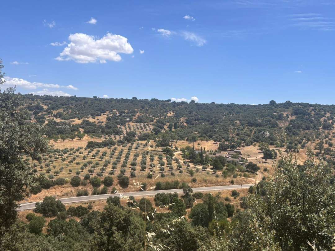 Residential for sale in Los Navalmorales