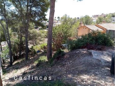 Terreno rustico in vendita a Calle Tulipa