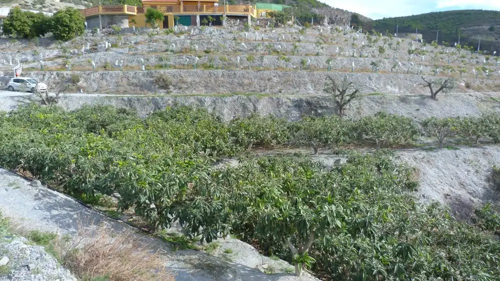Terreni e lotti in vendita a Ítrabo, imagen 9