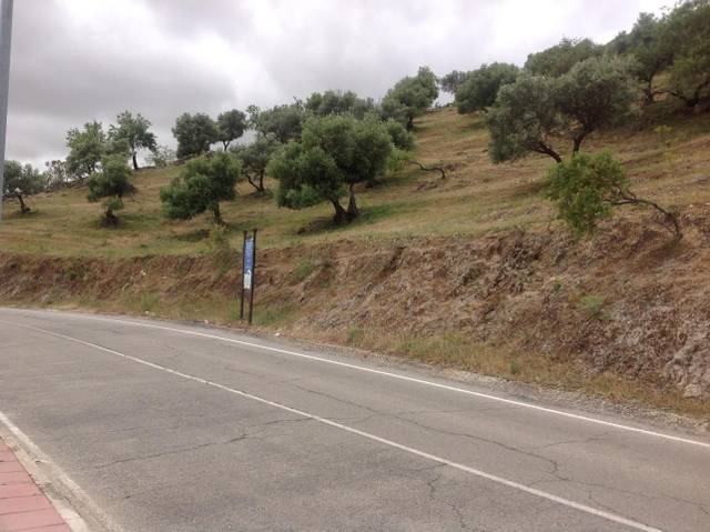 Terreno residencial en Venta en Cañete la Real