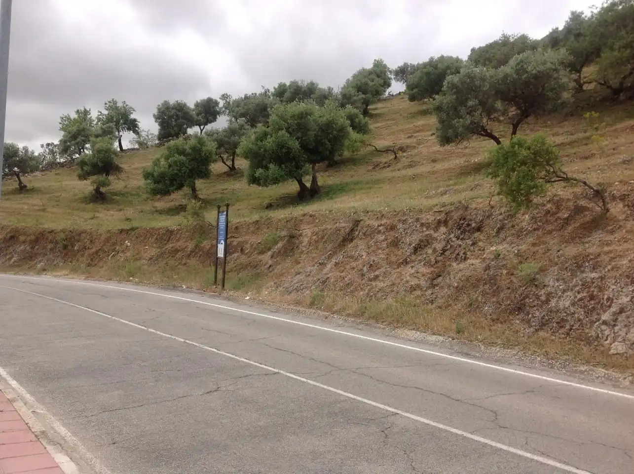 Terreni e lotti in vendita a Cañete la Real