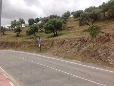 Terreni e lotti in vendita a Cañete la Real