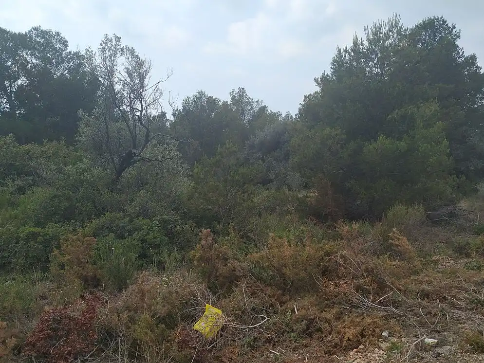 Land for sale in Alcanar