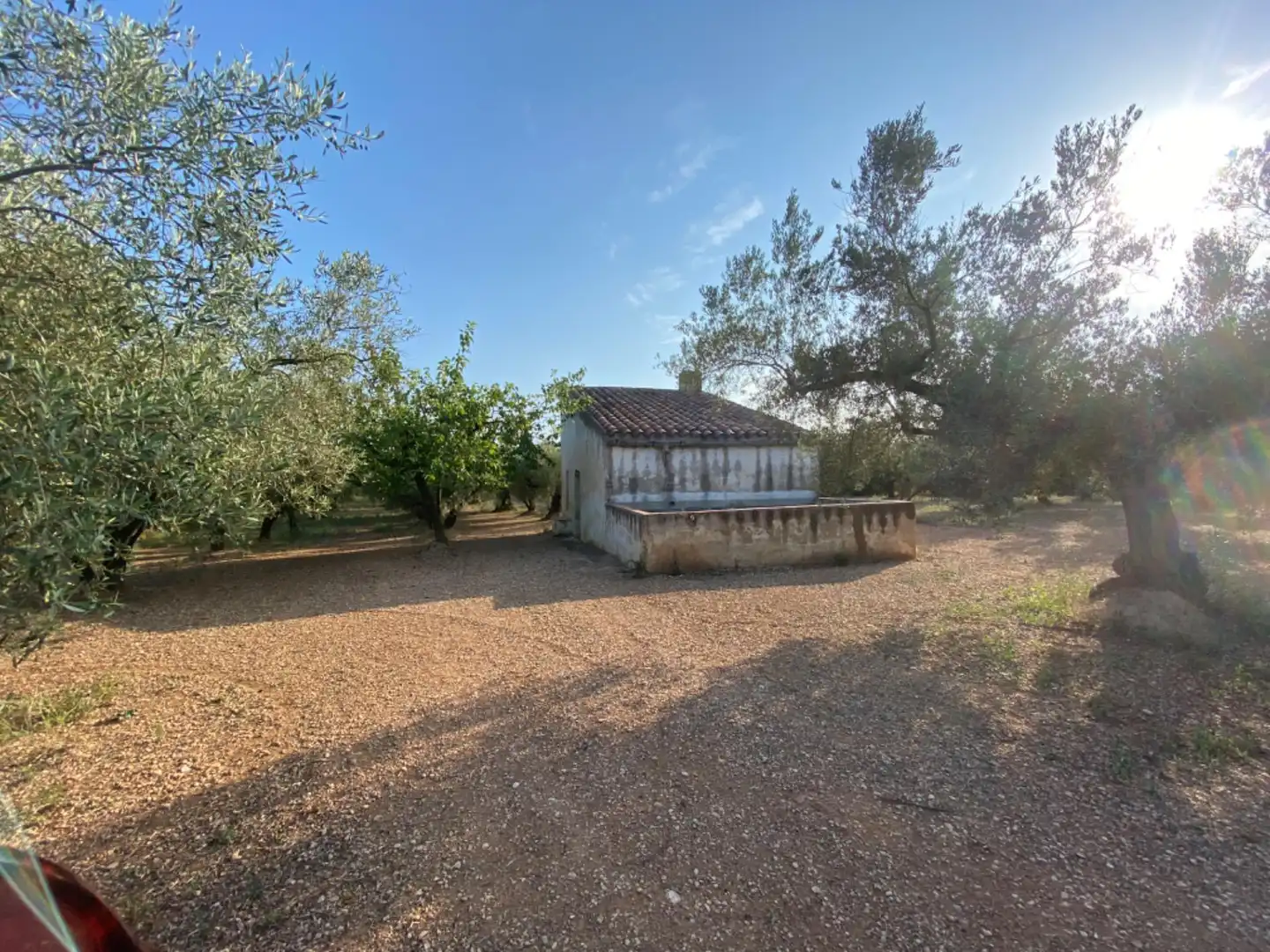 Casa rústica con piscina en venta en Ulldecona, imagen 19