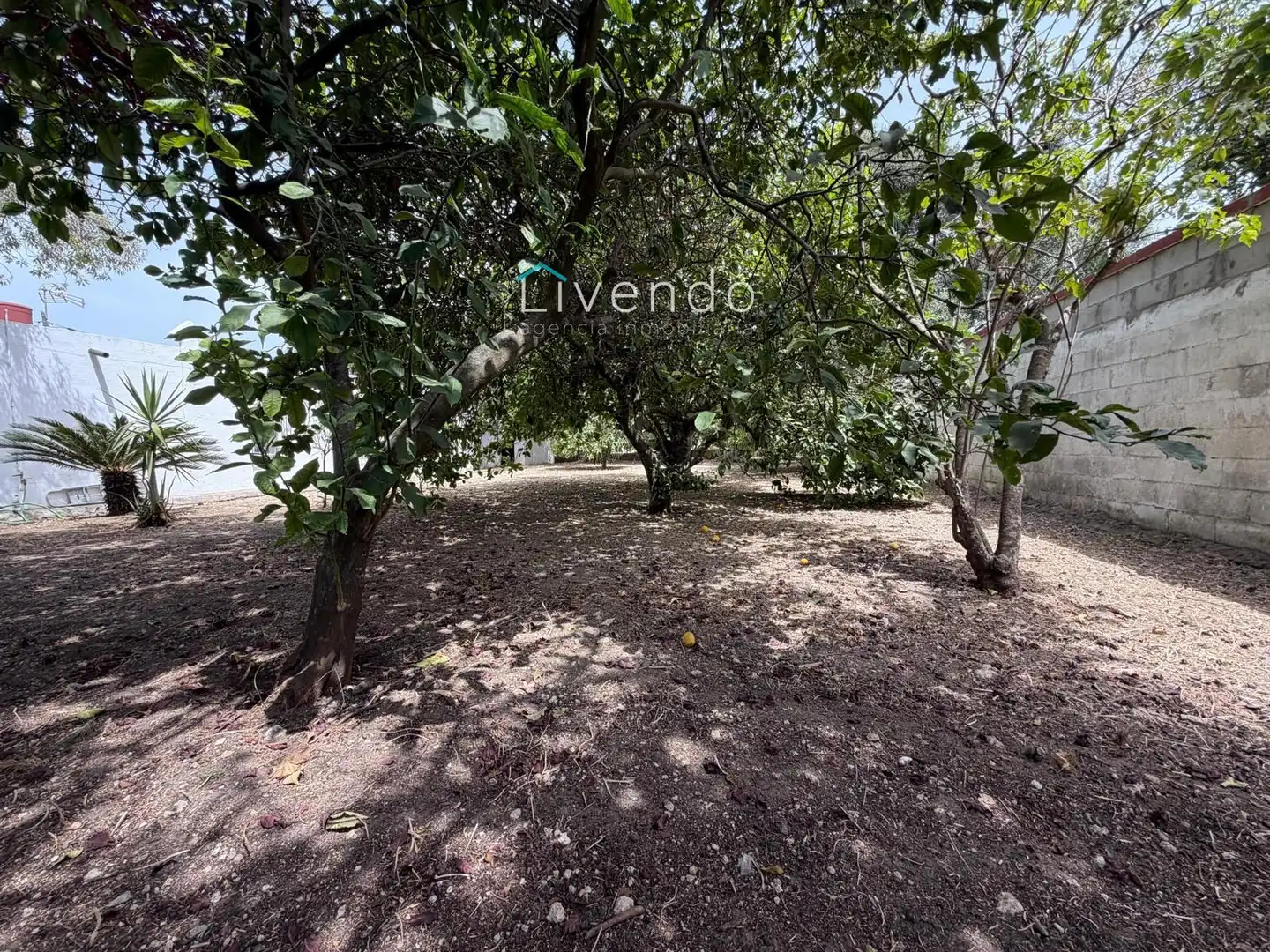 Chalet en venta en BARRIO NUEVO, imagen 25