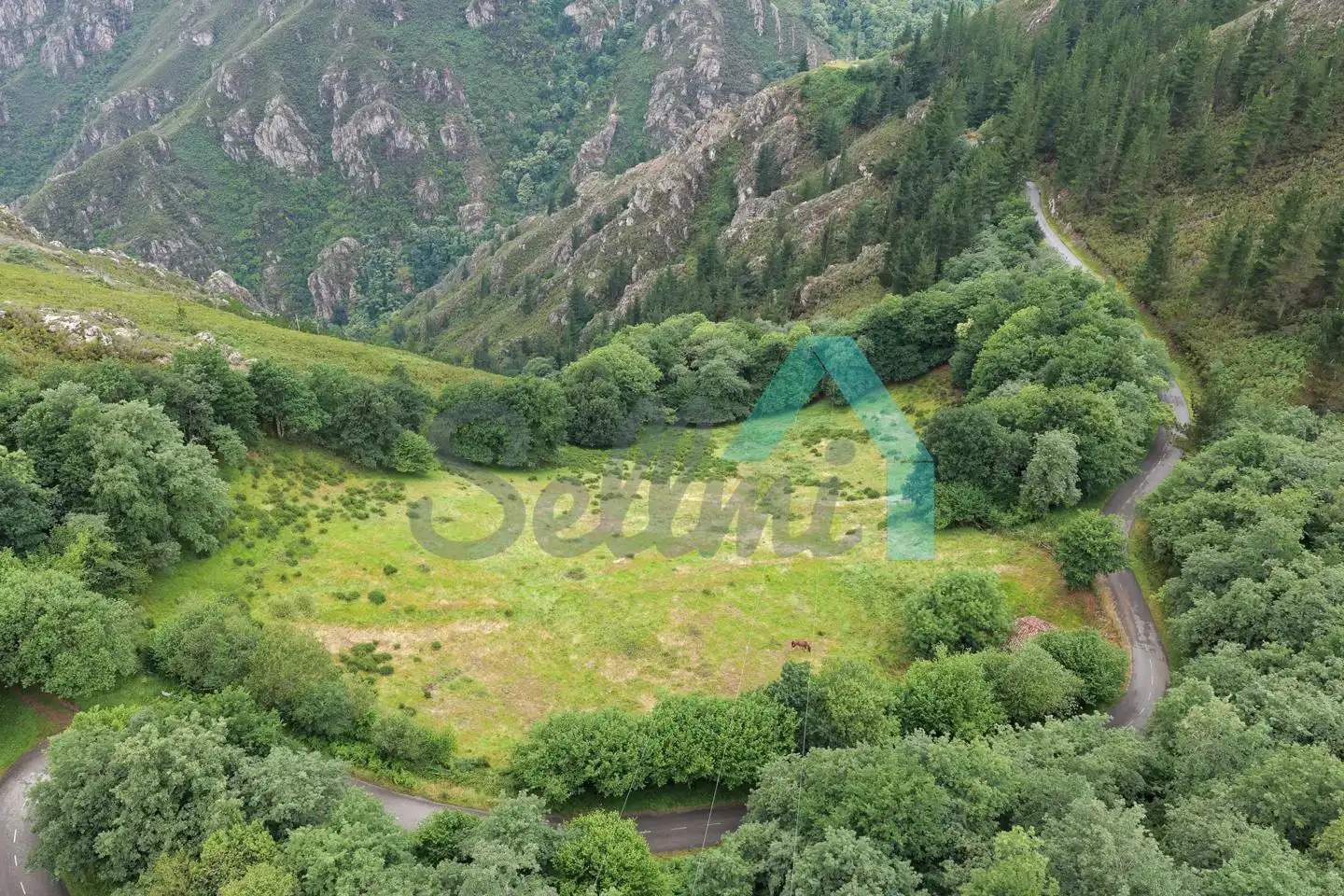 Land for sale in Proaza