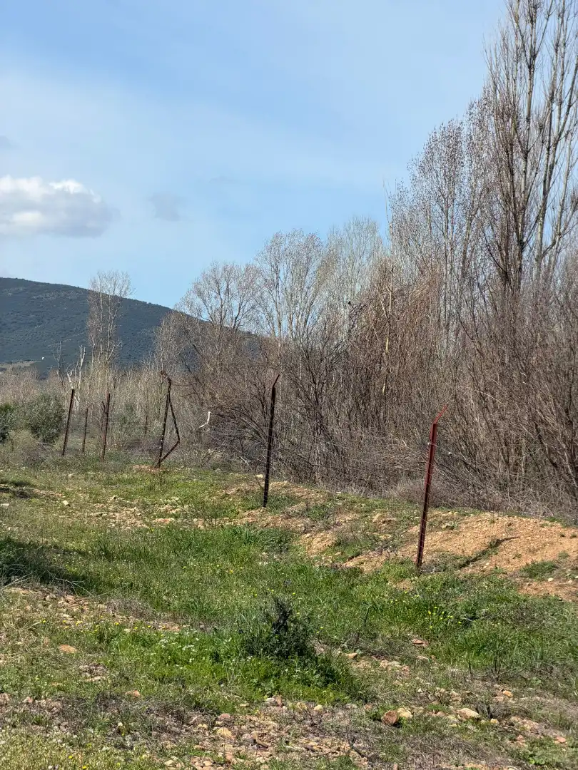 Grundstücke und Bauplätze zum Verkauf in Malagón, imagen 24