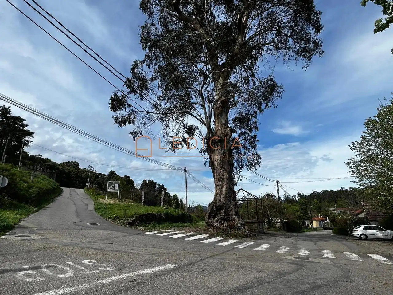 Lands and plots for sale in A Pena, imagen 16