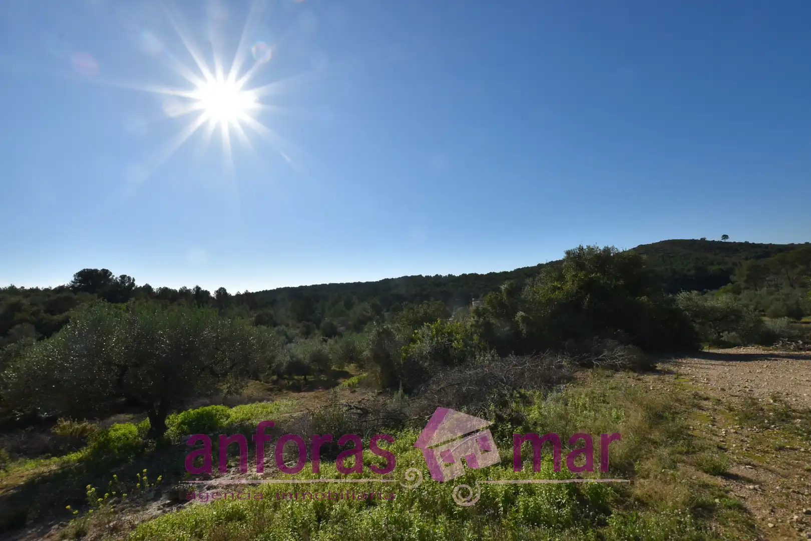 Terreno rustico in vendita a Urbanitzacions de Llevant, imagen 7