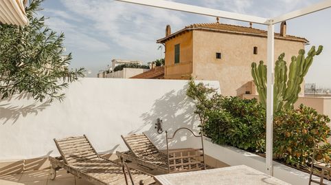 Foto 3 de Piso de alquiler en El Terreno, Palma de Mallorca