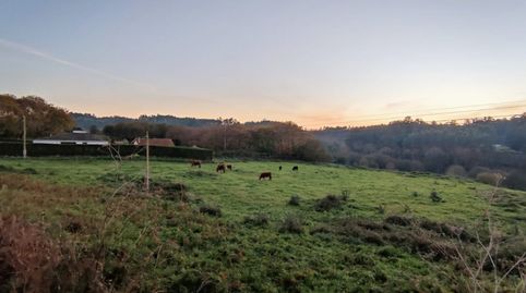 Se venden parcelas en suelo de núcleo rural poco denso. Superficies desde 952 metros cuadrados hasta prácticamente 5.000 metros cu, imatge 2