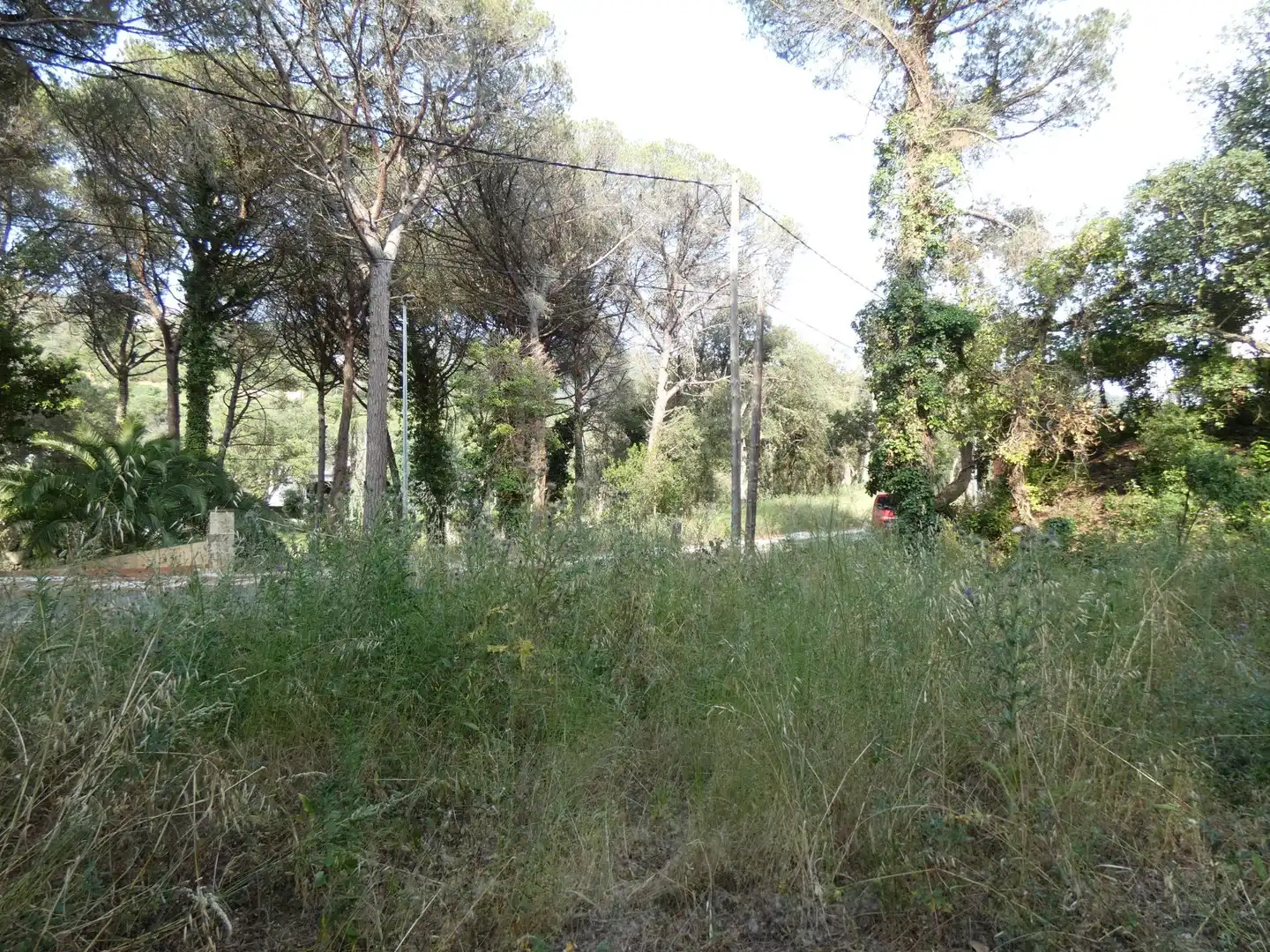 Wohnbaugrundstück zum Verkauf in Poble, imagen 3