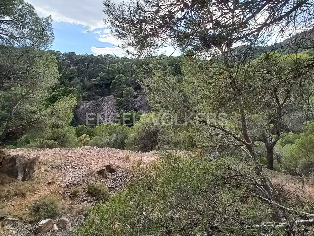 Lands and plots for sale in Serra, imagen 17