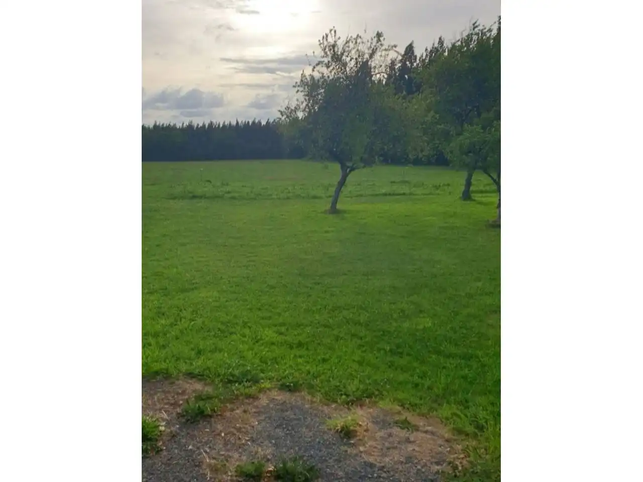 Residential land for sale in Calle Ril Arriba, imagen 2