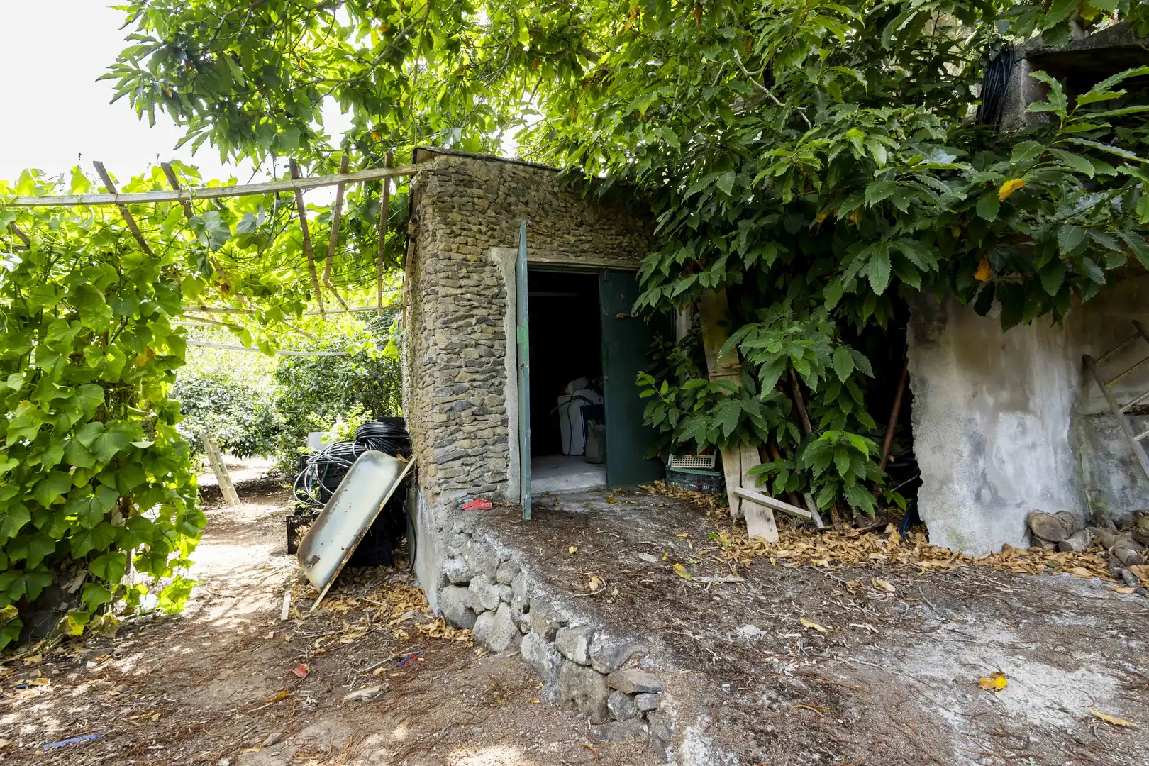 Rural land for sale in Tegueste, imagen 23