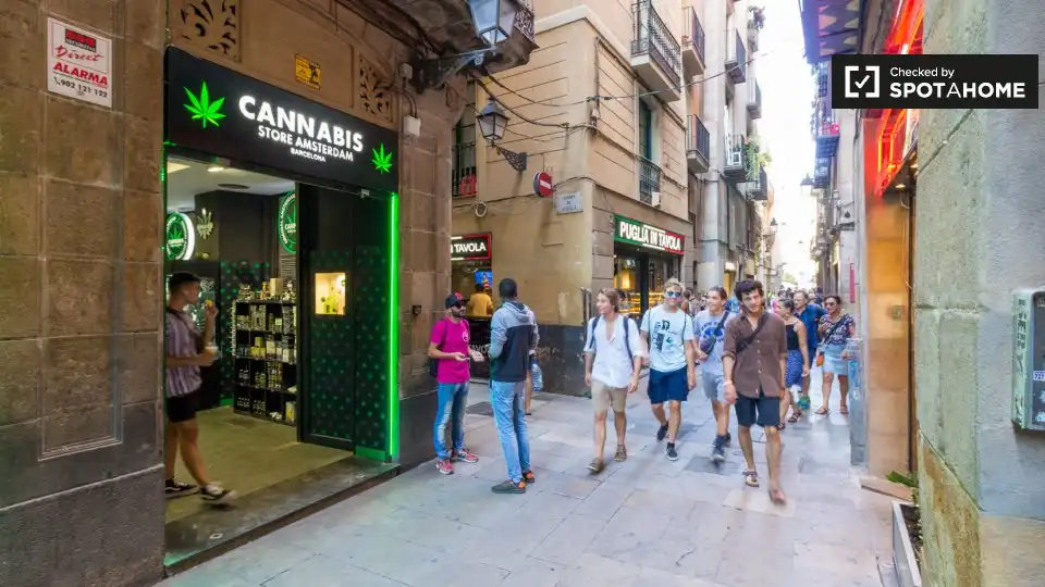 Flat with terrace to rent in Ciutat Vella, imagen 17