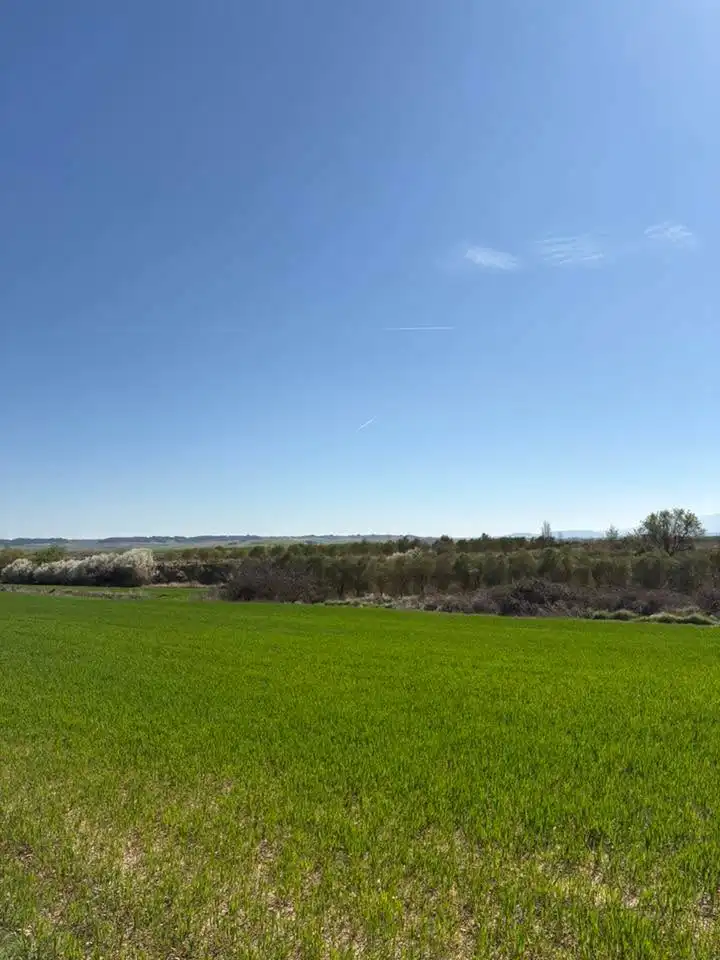 Rustikales Grundstück zum Verkauf in Villamediana de Iregua, imagen 2