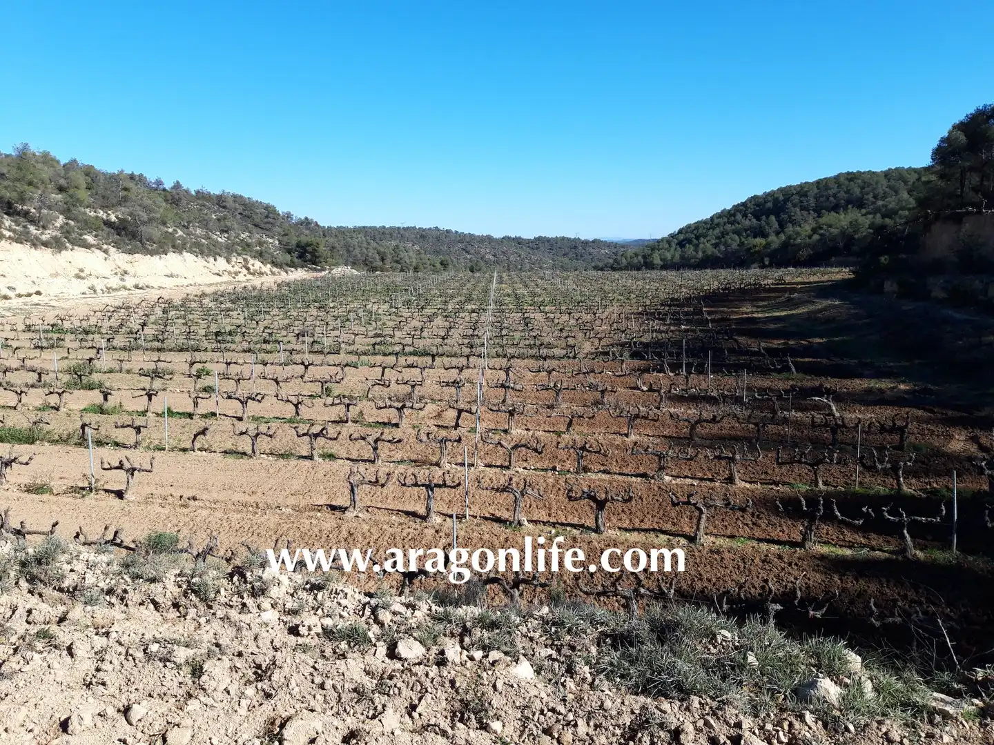 Finca rústica en venta en Nonaspe