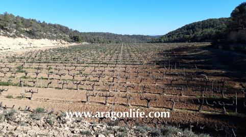 Photo 2 of Country house for sale in N/a, Nonaspe, Zaragoza