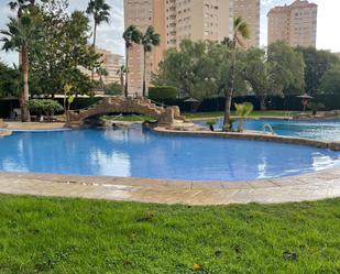 Piscina de Dúplex de lloguer en El Campello amb Calefacció, Jardí privat i Terrassa