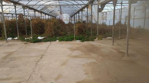 Photo 2 of Residential for sale in Carrús Oeste, Pont Nou - Corazón de Jesús, Elche / Elx