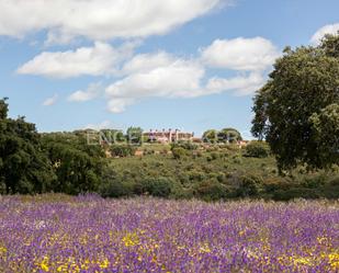 Jardí de Finca rústica en venda en El Casar amb Calefacció, Jardí privat i Terrassa