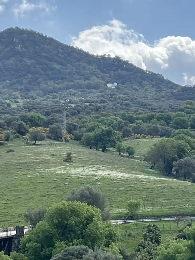Casa rústica en venta en Cortes de la Frontera, imagen 3
