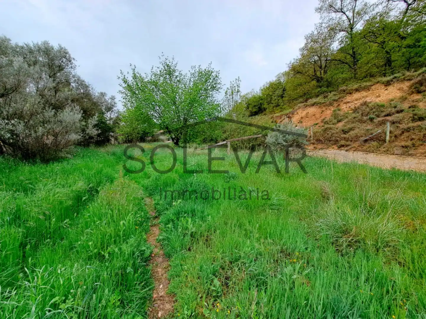 Residential land for sale in Únic, imagen 8