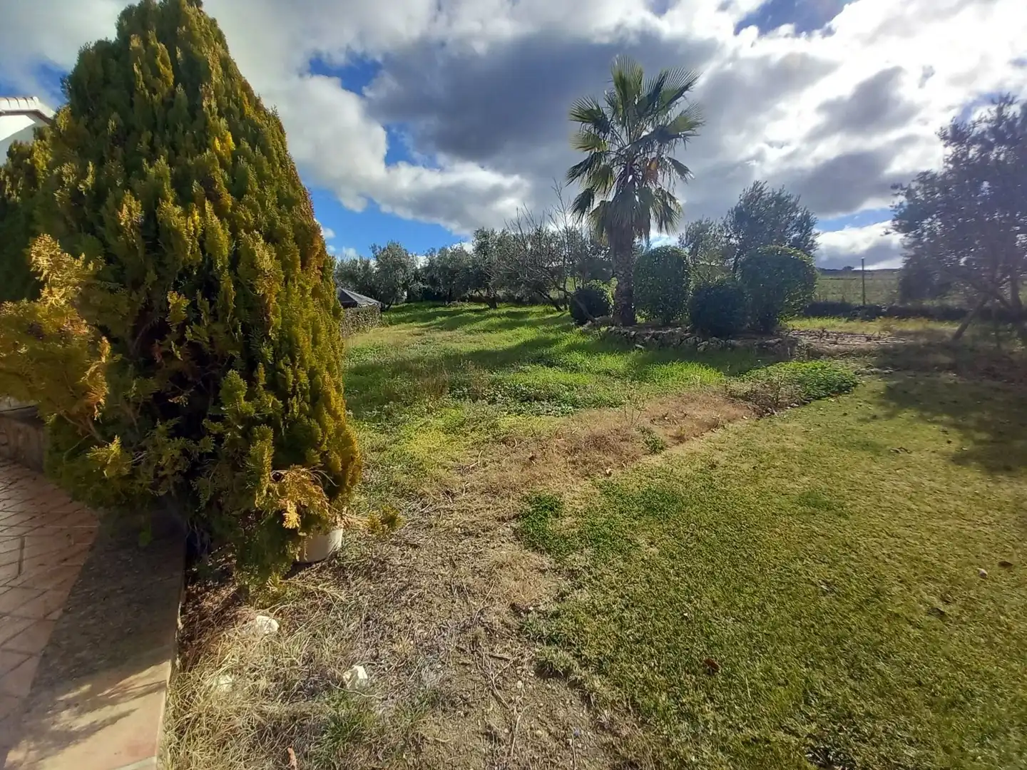 Finca rústica en venta en Arriate
