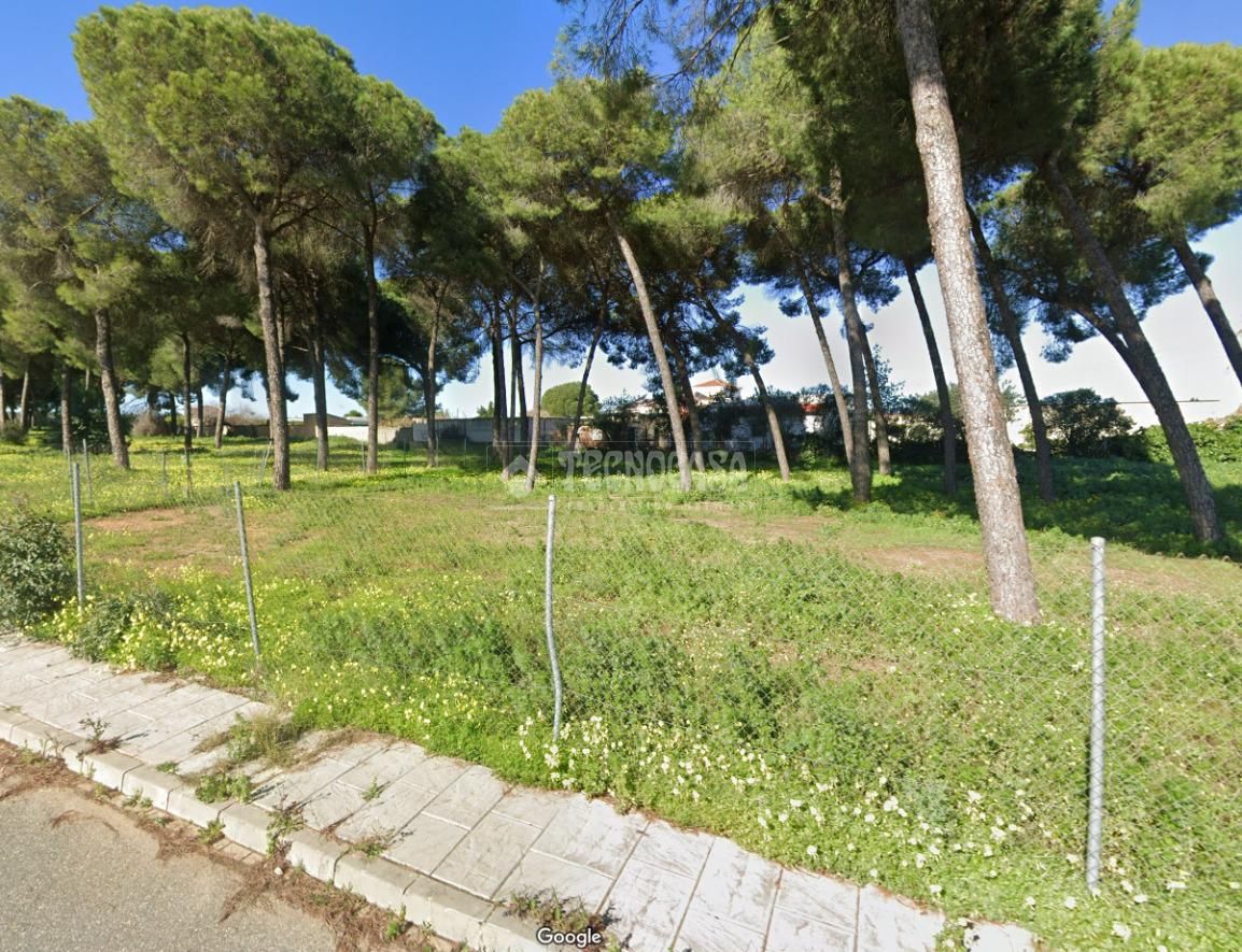 Residencial en venda en Almensilla