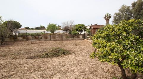 Foto 5 de Casa o xalet en venda a Pelagatos - Pago del Humo, Chiclana de la Frontera