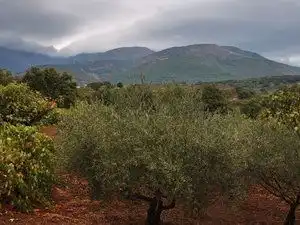 Terreni e lotti in vendita a Jarandilla de la Vera, imagen 3
