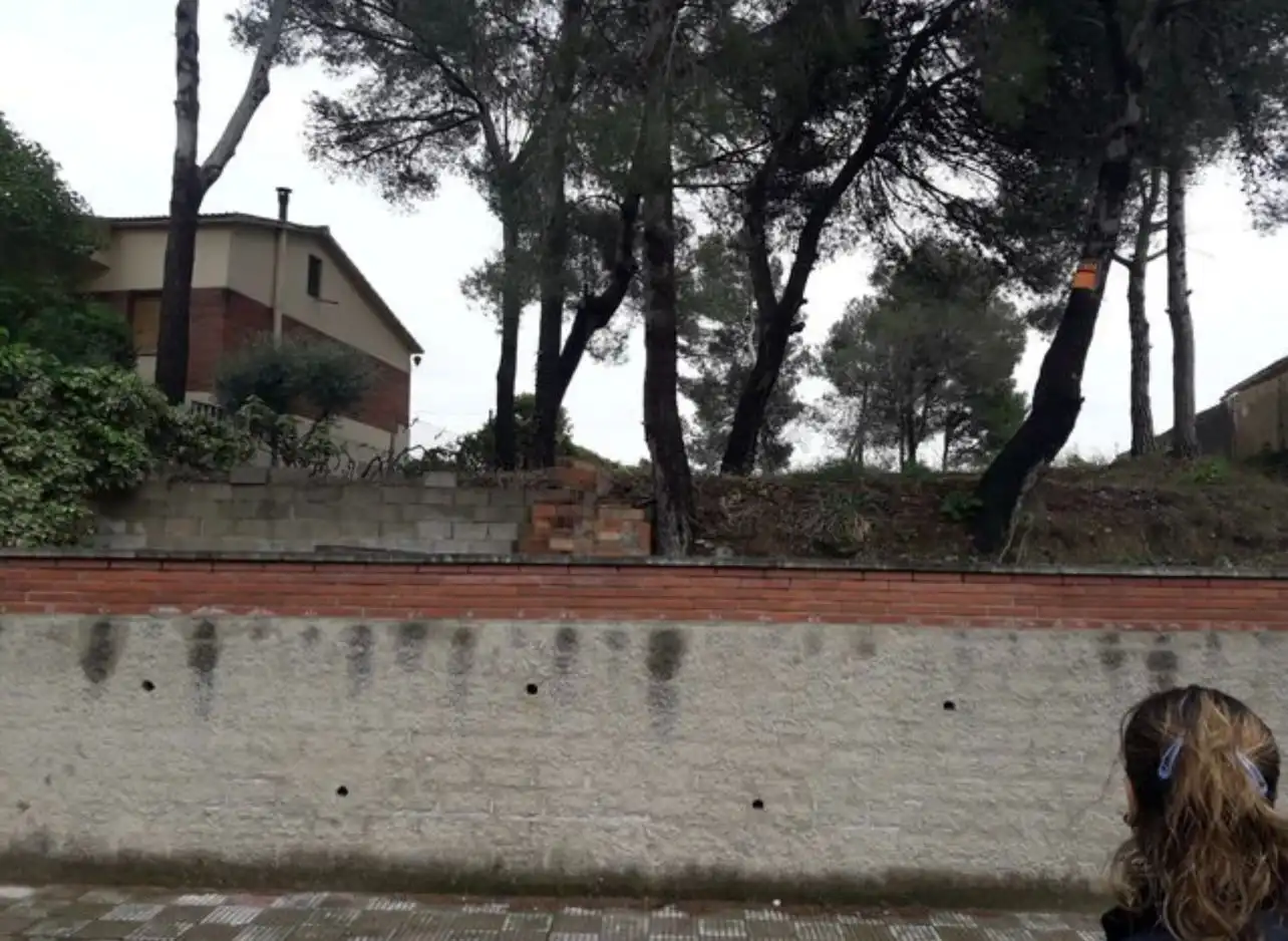 Lands and plots for sale in Can Rial, imagen 7