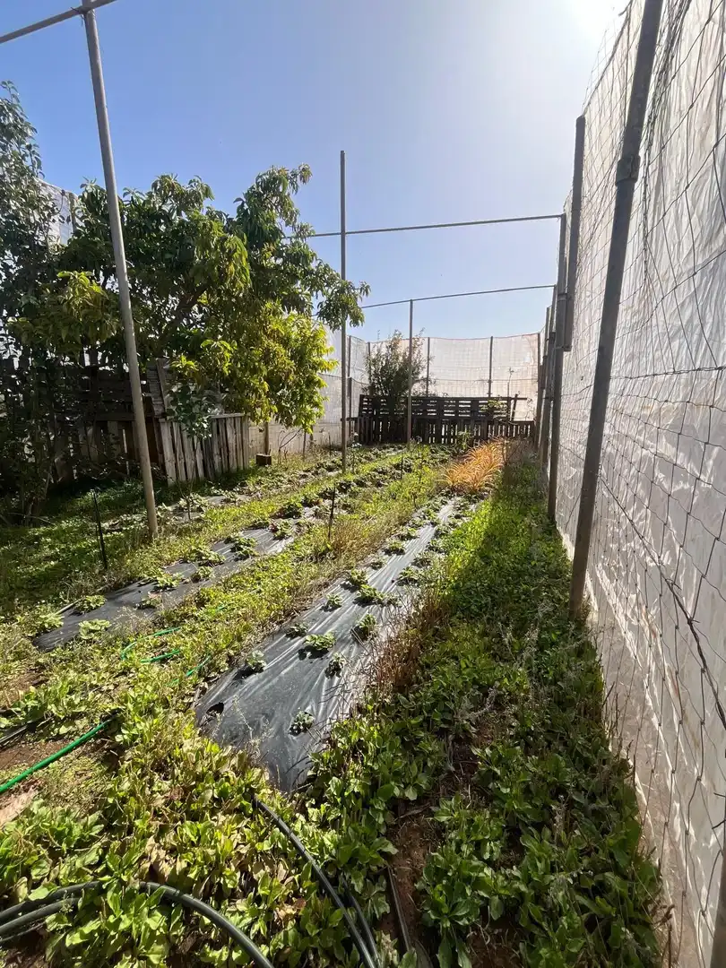 Jardín de Residencial en venta en El Pinar de El Hierro